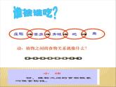 小学六年级下册科学-4.3有趣的食物链-苏教版(24张)ppt课件