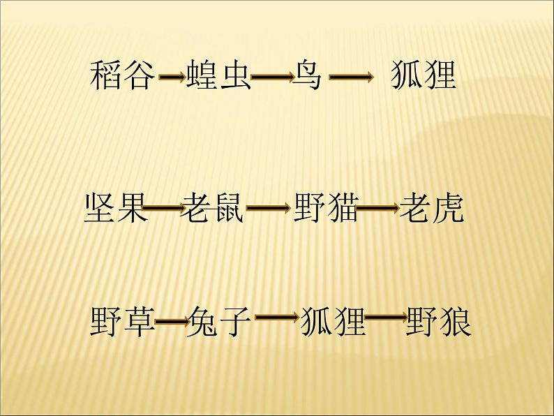 小学六年级下册科学-4.3有趣的食物链-苏教版(24张)ppt课件第8页