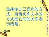 小学六年级下册科学-4.3有趣的食物链-苏教版(27张)(2)ppt课件