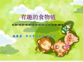 小学六年级下册科学-4.3有趣的食物链-苏教版(21张)ppt课件