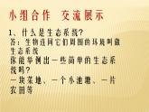 小学六年级下册科学-4.4生态平衡-苏教版(8张)ppt课件