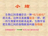小学六年级下册科学-4.3有趣的食物链-苏教版(22张)(3)ppt课件