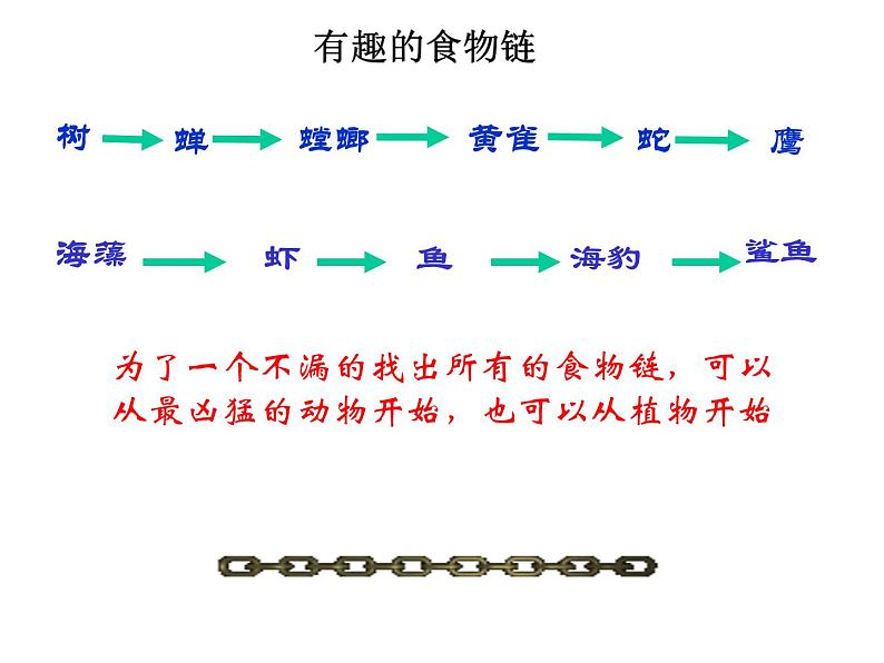 小学六年级下册科学-4.3有趣的食物链-苏教版(20张)(3)ppt课件07