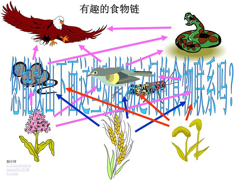 小学六年级下册科学-4.3有趣的食物链-苏教版(20张)(3)ppt课件08