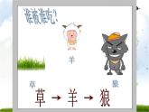 小学六年级下册科学-4.3有趣的食物链-苏教版(27张)ppt课件