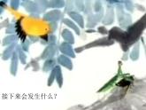 小学六年级下册科学-4.3有趣的食物链-苏教版(20张)(4)ppt课件