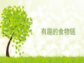 小学六年级下册科学-4.3有趣的食物链-苏教版(23张)ppt课件