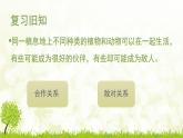 小学六年级下册科学-4.3有趣的食物链-苏教版(23张)ppt课件