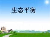 小学六年级下册科学-4.4生态平衡-苏教版(13张)ppt课件