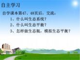 小学六年级下册科学-4.4生态平衡-苏教版(13张)ppt课件