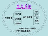 小学六年级下册科学-4.4生态平衡-苏教版(9张)ppt课件