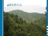 小学六年级下册科学-4.4生态平衡-苏教版(12张)ppt课件