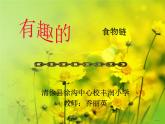 小学六年级下册科学-4.3有趣的食物链-苏教版(30张)ppt课件