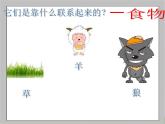 小学六年级下册科学-4.3有趣的食物链-苏教版(30张)ppt课件