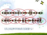 小学六年级下册科学-4.3有趣的食物链-苏教版(30张)ppt课件