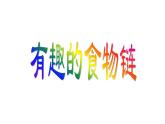 小学六年级下册科学-4.3有趣的食物链-苏教版(21张)ppt课件