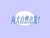 小学六年级下册科学-4.3有趣的食物链-苏教版(28张)ppt课件