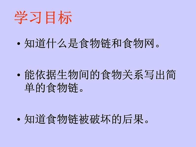 小学六年级下册科学-4.3有趣的食物链-苏教版(28张)ppt课件第7页