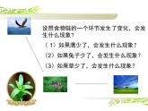 小学六年级下册科学-4.4生态平衡-苏教版(21张)ppt课件