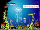 小学六年级下册科学-4.4生态平衡-苏教版(45张)ppt课件
