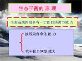 小学六年级下册科学-4.4生态平衡-苏教版(18张)ppt课件