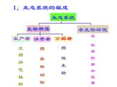 小学六年级下册科学-4.4生态平衡-苏教版(24张)ppt课件