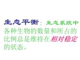 小学六年级下册科学-4.4生态平衡-苏教版(24张)ppt课件
