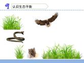 小学六年级下册科学-4.生态平衡苏教版(18张)ppt课件
