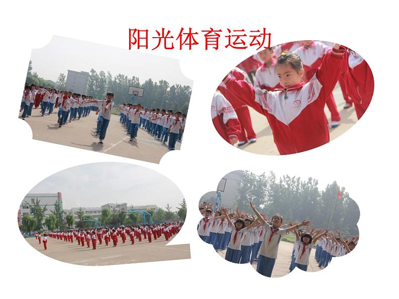 小学六年级下册科学-4.18电脑与网络青岛版(22张)ppt课件07