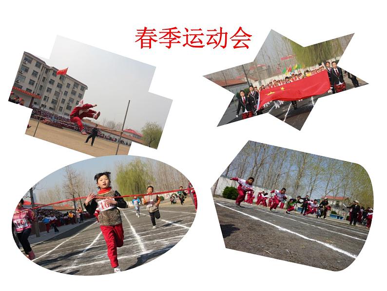 小学六年级下册科学-4.18电脑与网络青岛版(22张)ppt课件08