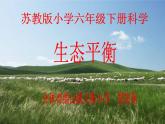 小学六年级下册科学-4.4生态平衡-苏教版(18张)(1)ppt课件