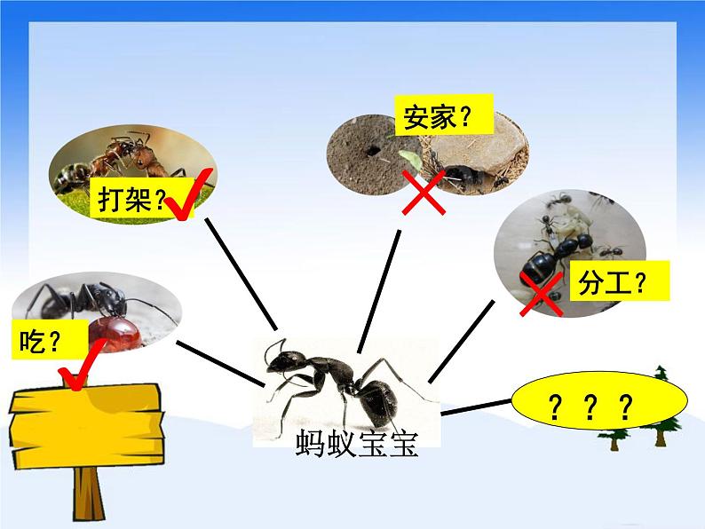 2020年二年级下册科学课件《专项学习像科学家那样》苏教版(19张)ppt课件06