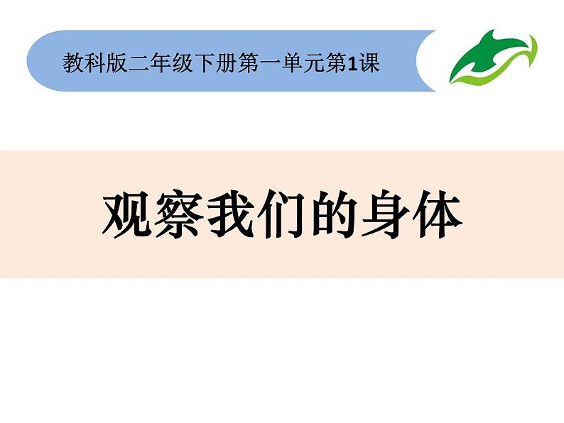 2020年二年级下册科学课件《1.观察我们的身体》教科版(11张)ppt课件02