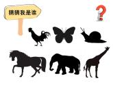 2020年二年级下册科学课件《1.观察我们的身体》教科版(11张)ppt课件
