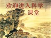 2020年二年级下册科学课件《2.通过感官来发现》教科版(11张)ppt课件
