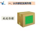 2020年二年级下册科学课件《2.通过感官来发现》教科版(11张)ppt课件