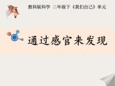 2020年二年级下册科学课件《2.通过感官来发现》教科版(11张)ppt课件
