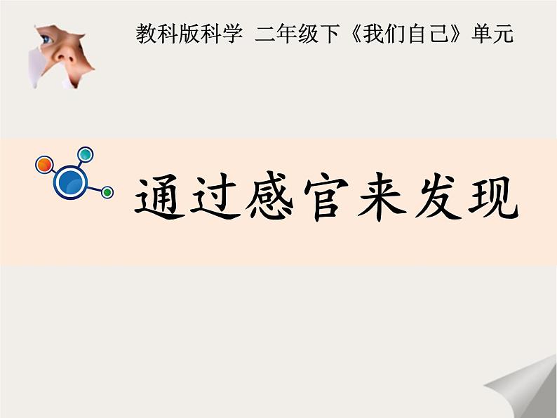 2020年二年级下册科学课件《2.通过感官来发现》教科版(11张)ppt课件第4页