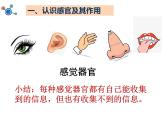 2020年二年级下册科学课件《2.通过感官来发现》教科版(11张)ppt课件