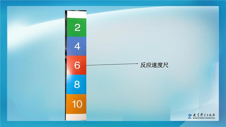 2020年二年级下册科学课件《4.测试反应快慢》教科版(13张)ppt课件07