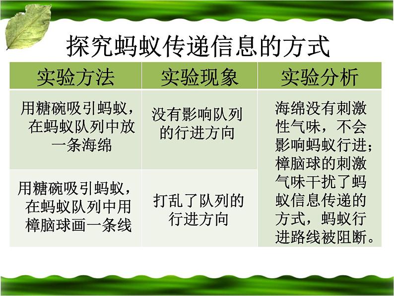 2020年六年级下册科学课件4.17《生物是怎样传递信息的》青岛版(14张)ppt课件第4页