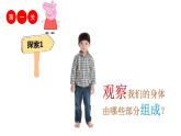 2020年二年级下册科学课件《1.观察我们的身体》教科版(17张)ppt课件