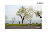 2020年六年级下册科学课件3.13风从哪里来青岛版(13张)ppt课件