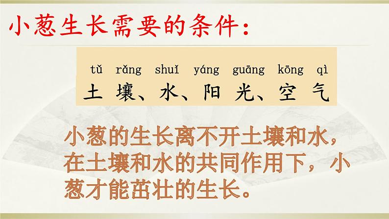 2020年二年级下册科学课件《7.栽小葱》苏教版(13张)ppt课件第6页