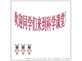 2020年二年级下册科学课件《1.磁铁能吸引什么》教科版(14张)ppt课件