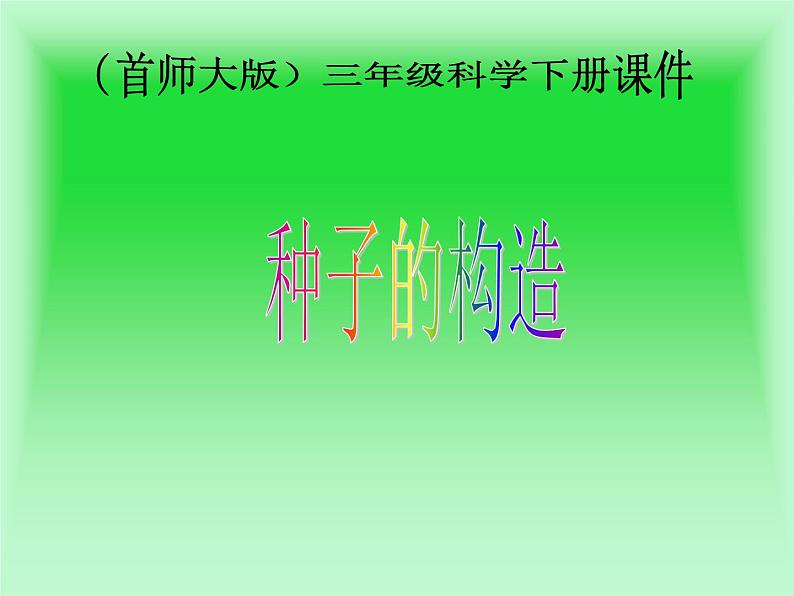 2020年三年级下册科学课件13.种子的构造首师大版(22张)ppt课件第2页