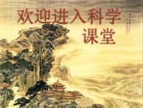 首师大版三年级上册3.栽培的植物图文ppt课件