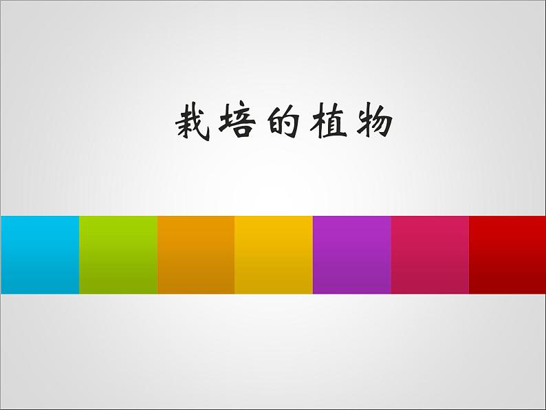 2020年三年级上册科学课件3栽培的植物首师大版(15张)ppt课件第2页