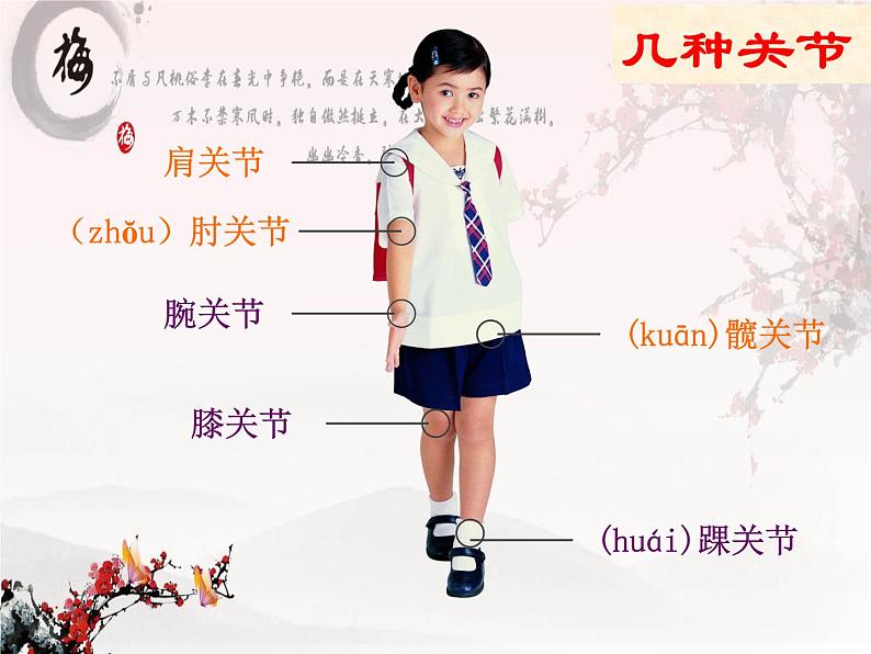 2020年四年级下册科学课件1.2关节苏教版11张ppt课件第4页