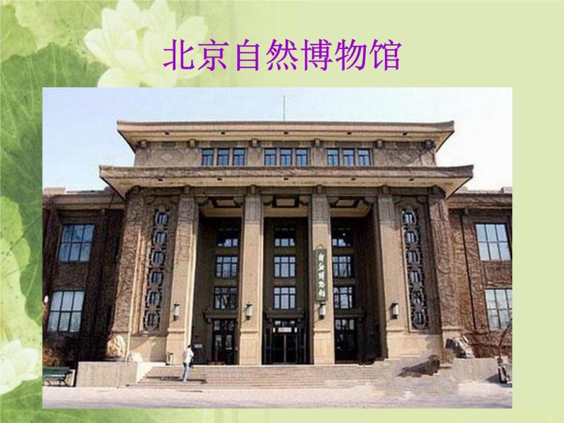 2020年三年级下册科学课件19北京自然博物馆首师大版(18张)ppt课件04